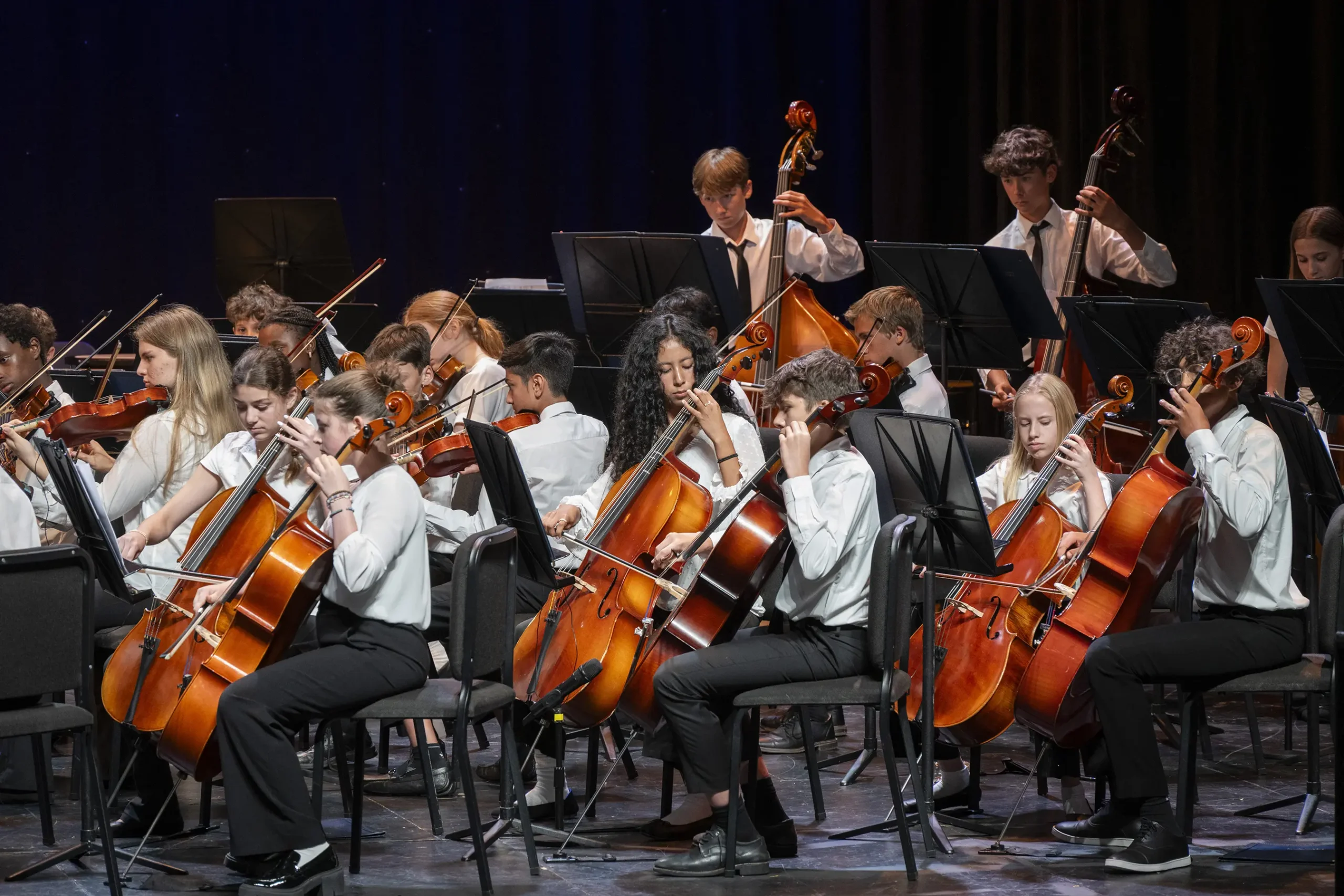 Middle Division Orchestra Middle Division Orchestra