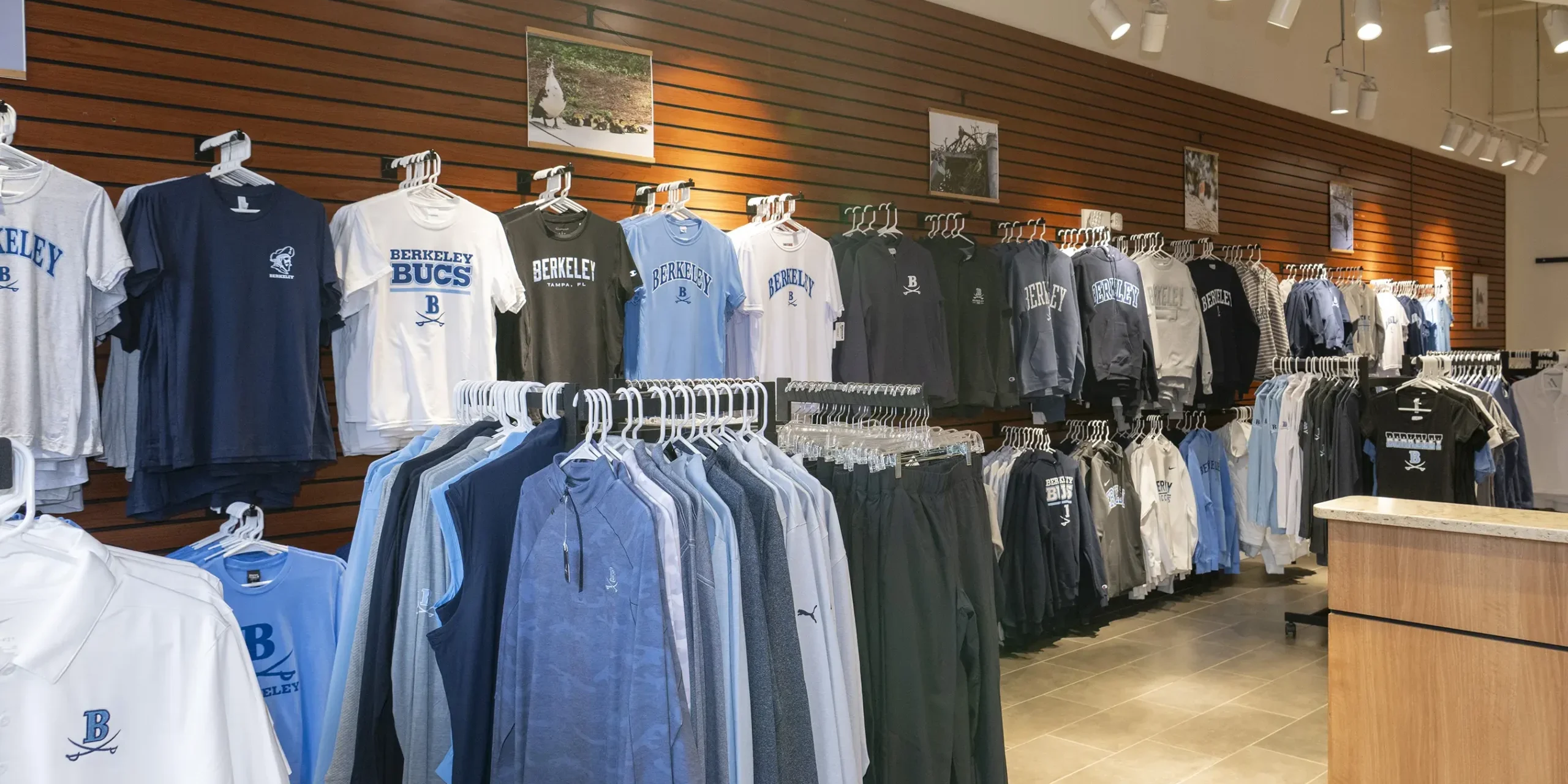 Treasure Cove Banner Photo