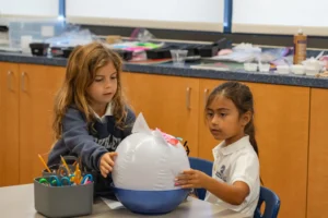 Lower Division Student in Science Lab Class