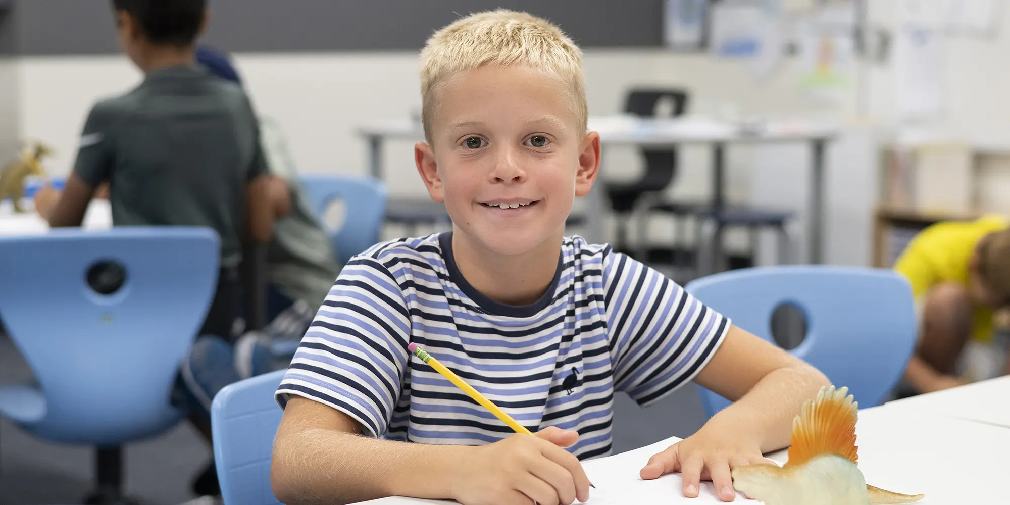 Summer of Excellence Camp