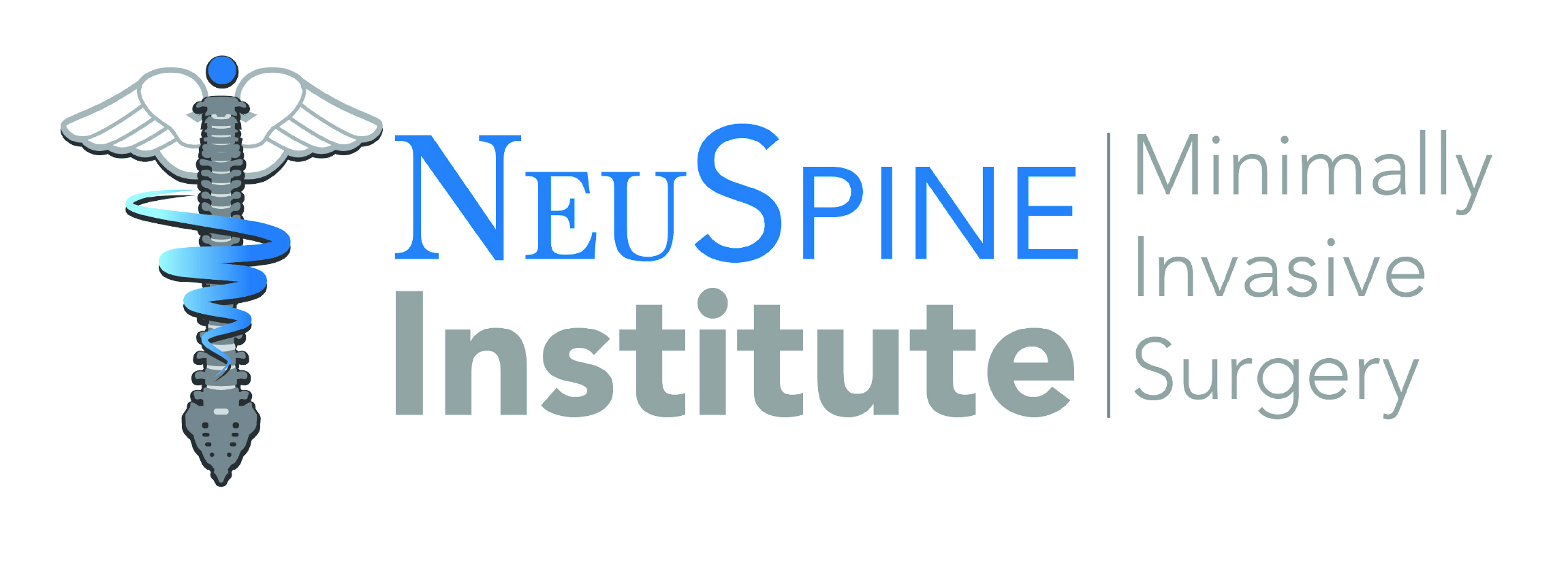 Logo for NeuSpine Institute