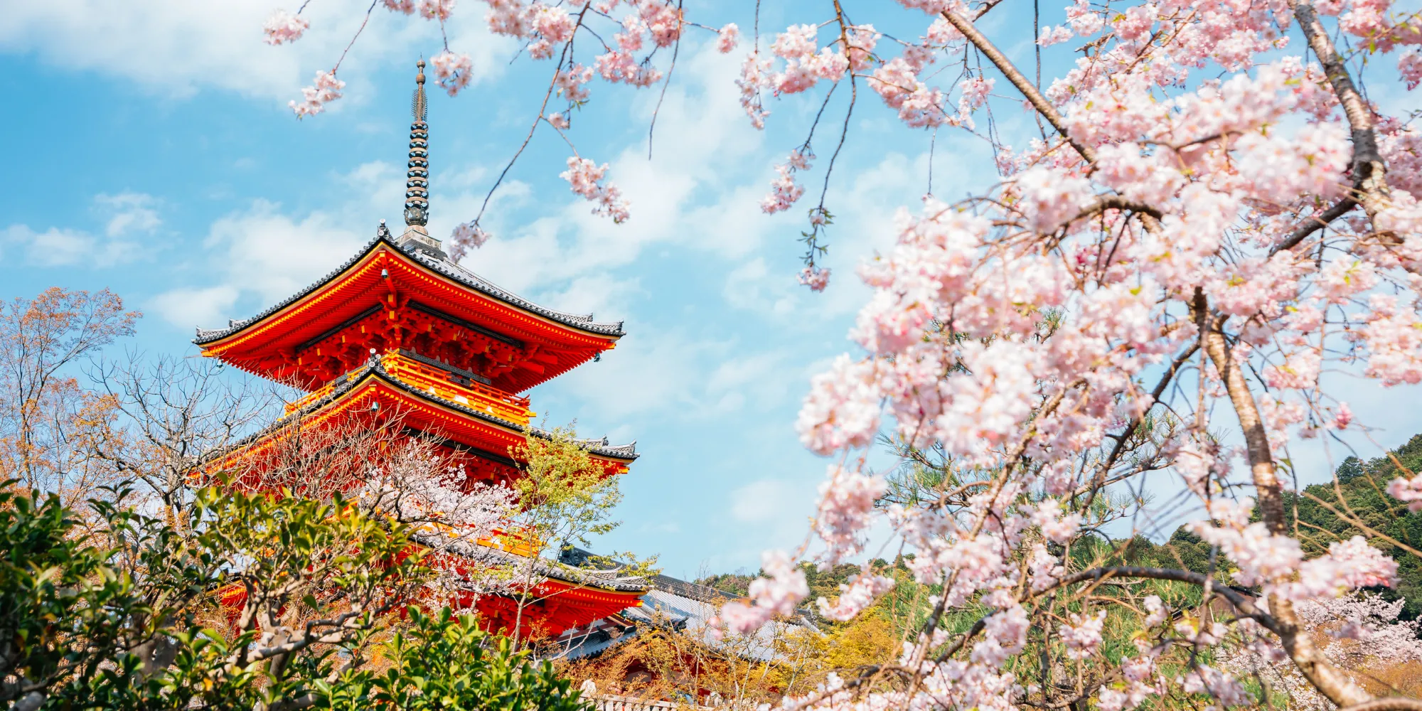 Photo of a temple and cherry blossoms.
