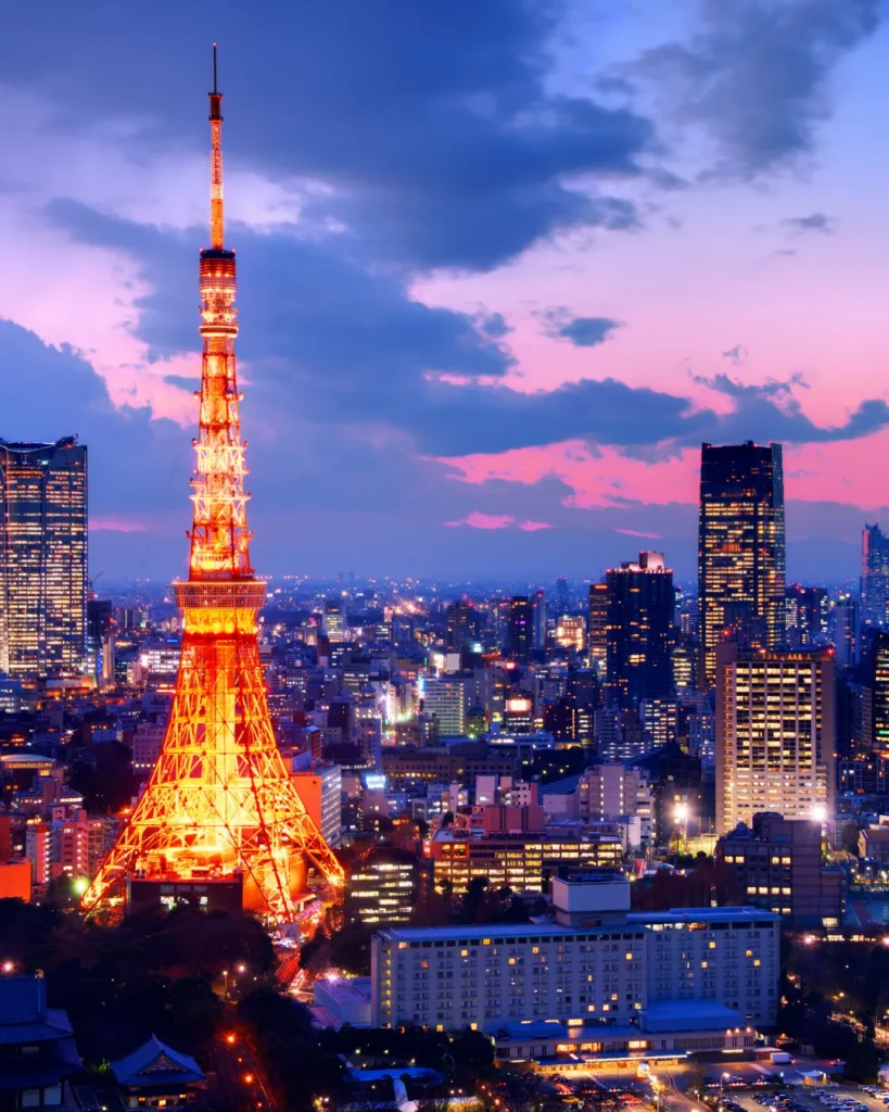 An image of Tokyo at night.